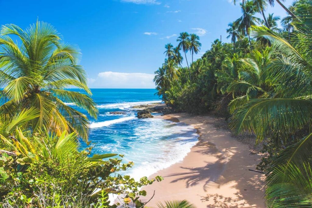 The tropical paradise of Manzanillo beach in Costa Rica.