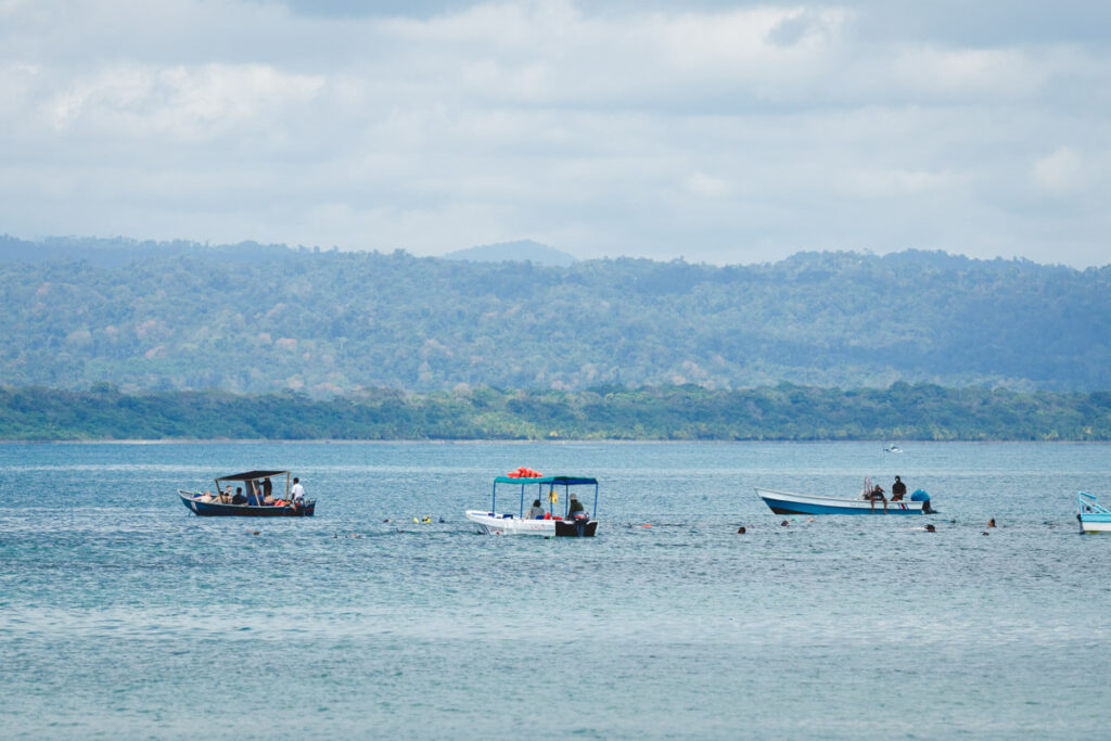 Groups of tourists snorkeling in Cahuita National Park.