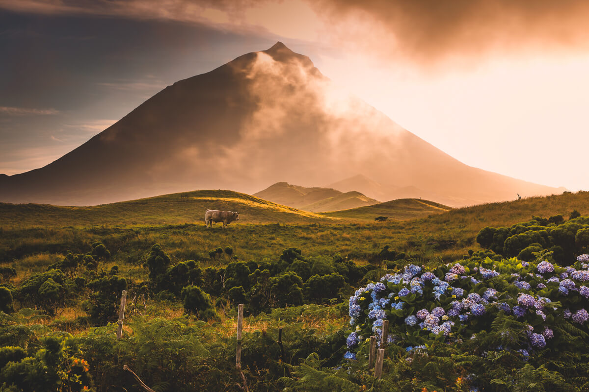 A beautiful golden hour glow over the Pico Azores volcano which is a great thing to do in Europe.