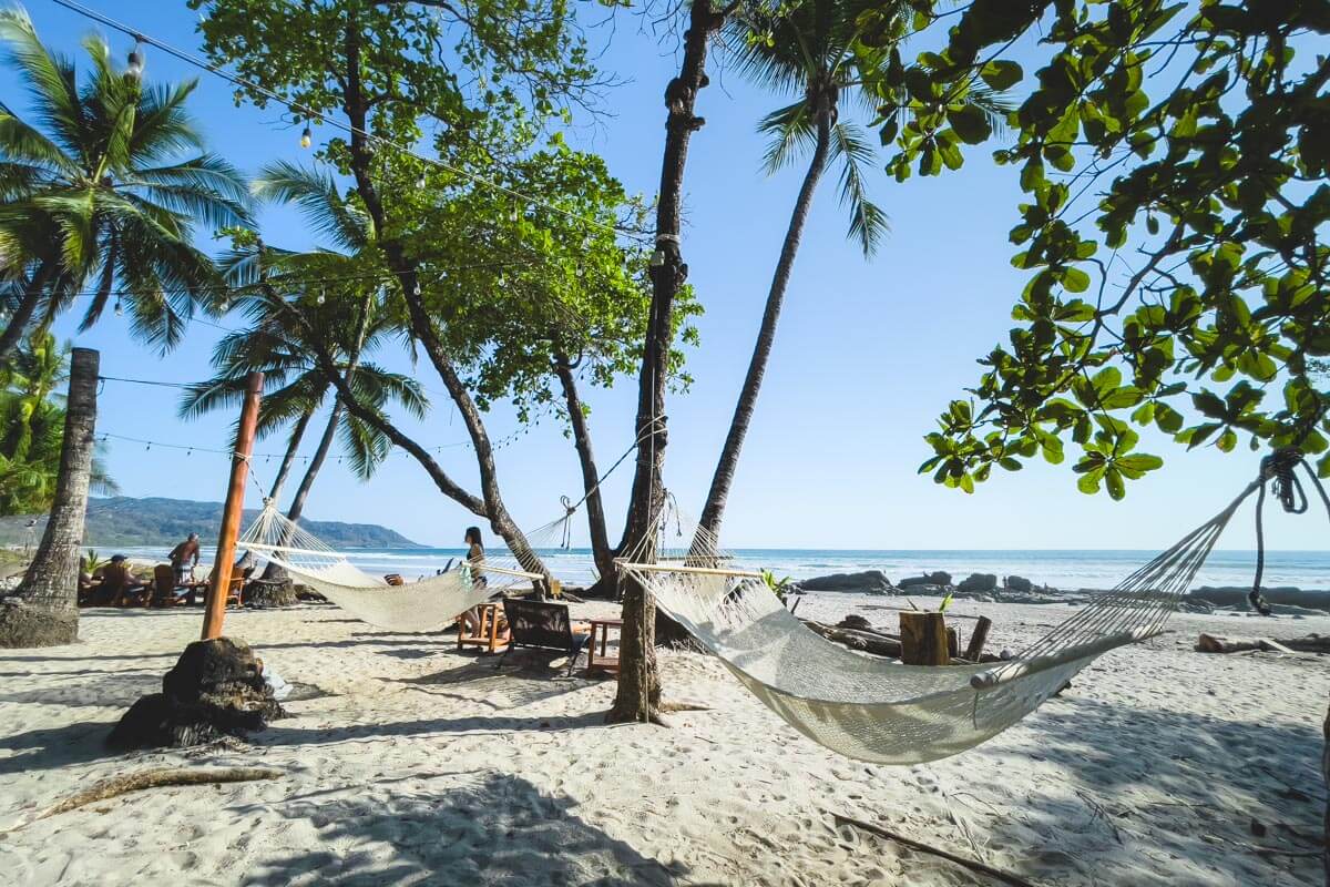 Hammocks strung up between trees by the ocean at Tropico Latino.