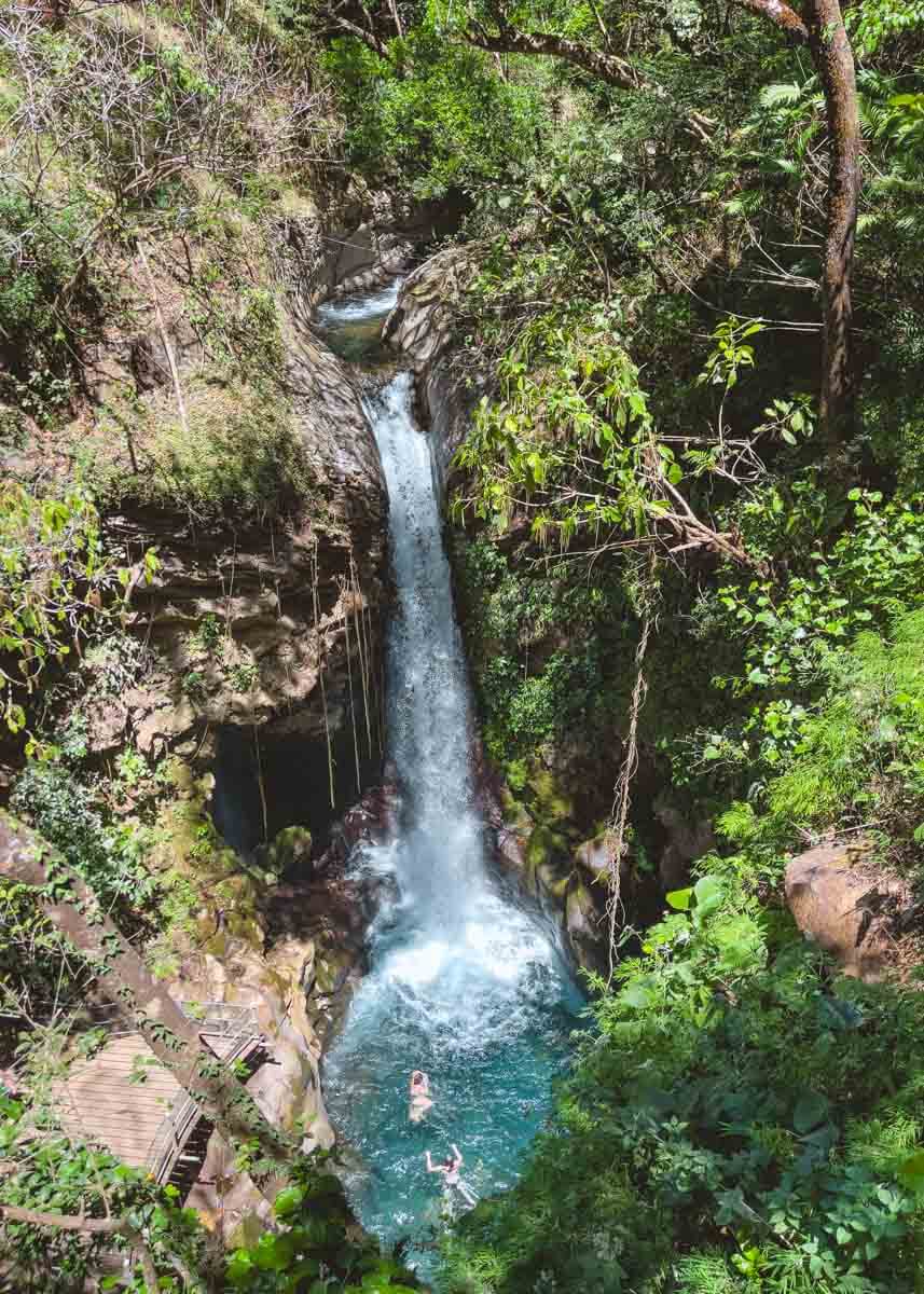 Looking down to Oropendola Waterfall's blue plunge pool water from the trail and the viewing platform.