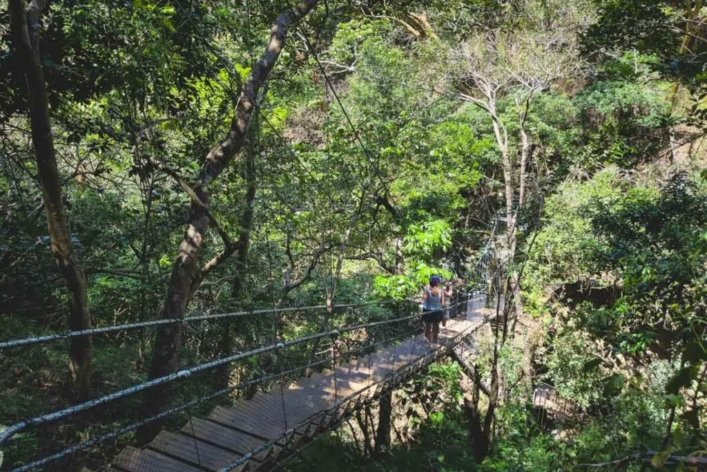 Two tourists walking down the suspension bridge and taking photos. Two tourists walking down the suspension bridge and taking photos.