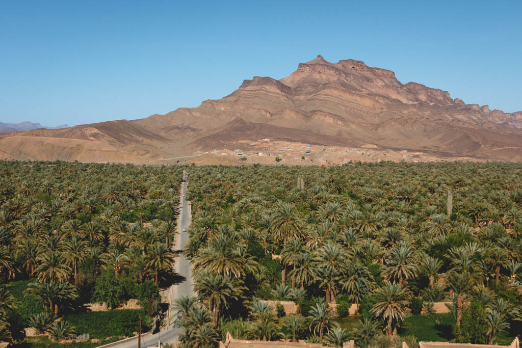 View of the Oasis and town of Agdz along side a massive mountain. 