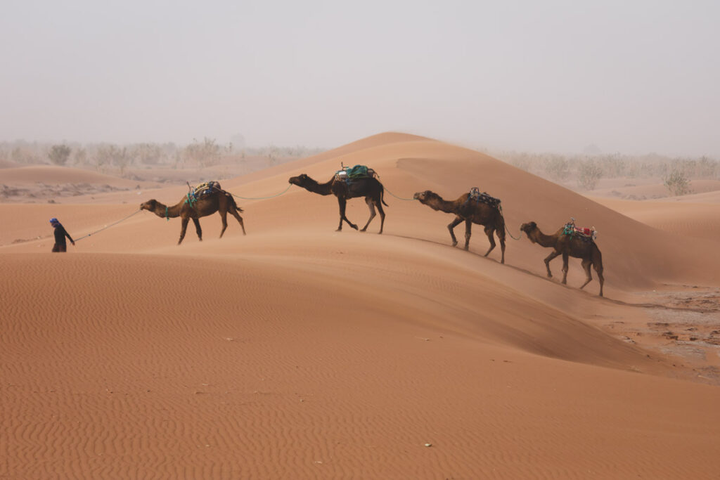 Things to do in Morocco