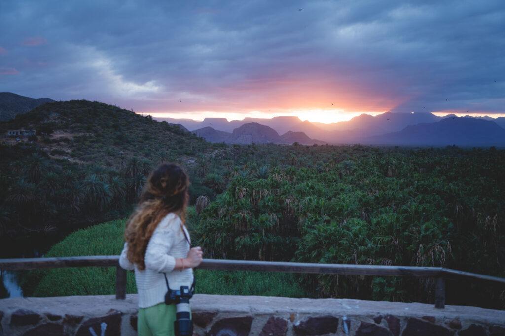 Nina watching a burning sunset over palm trees from Mulege Overlook in Baja Sur.