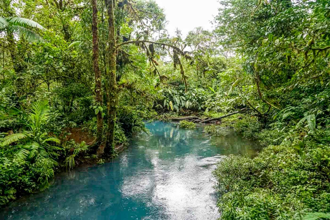 The blue Rio Celeste winding it's way through the Costa Rican rainforest.