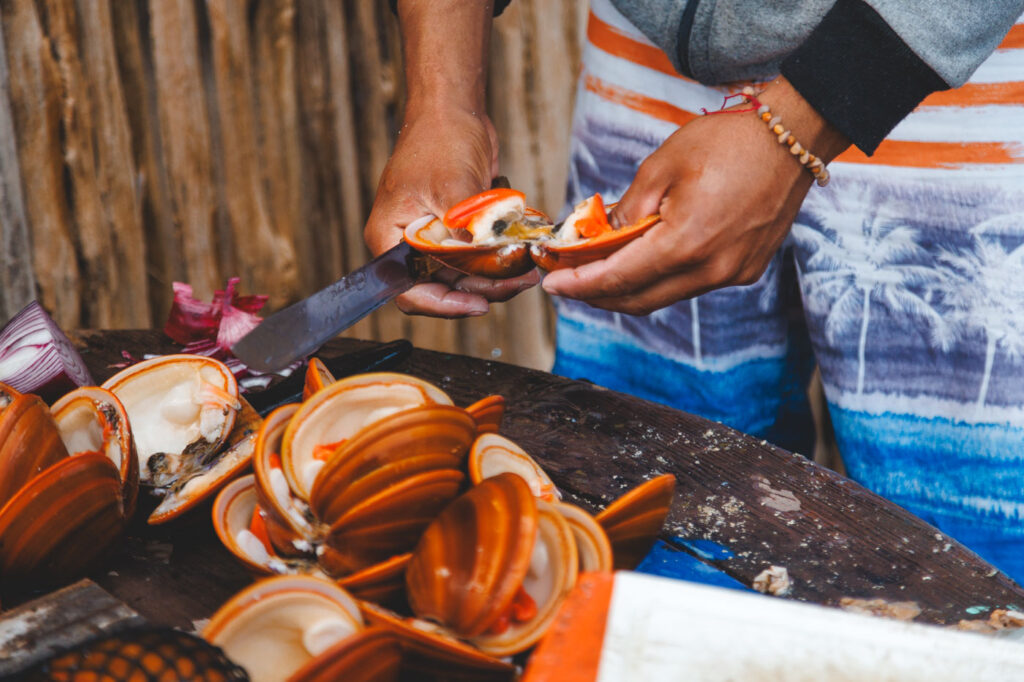 Man preparing clams for seafood.