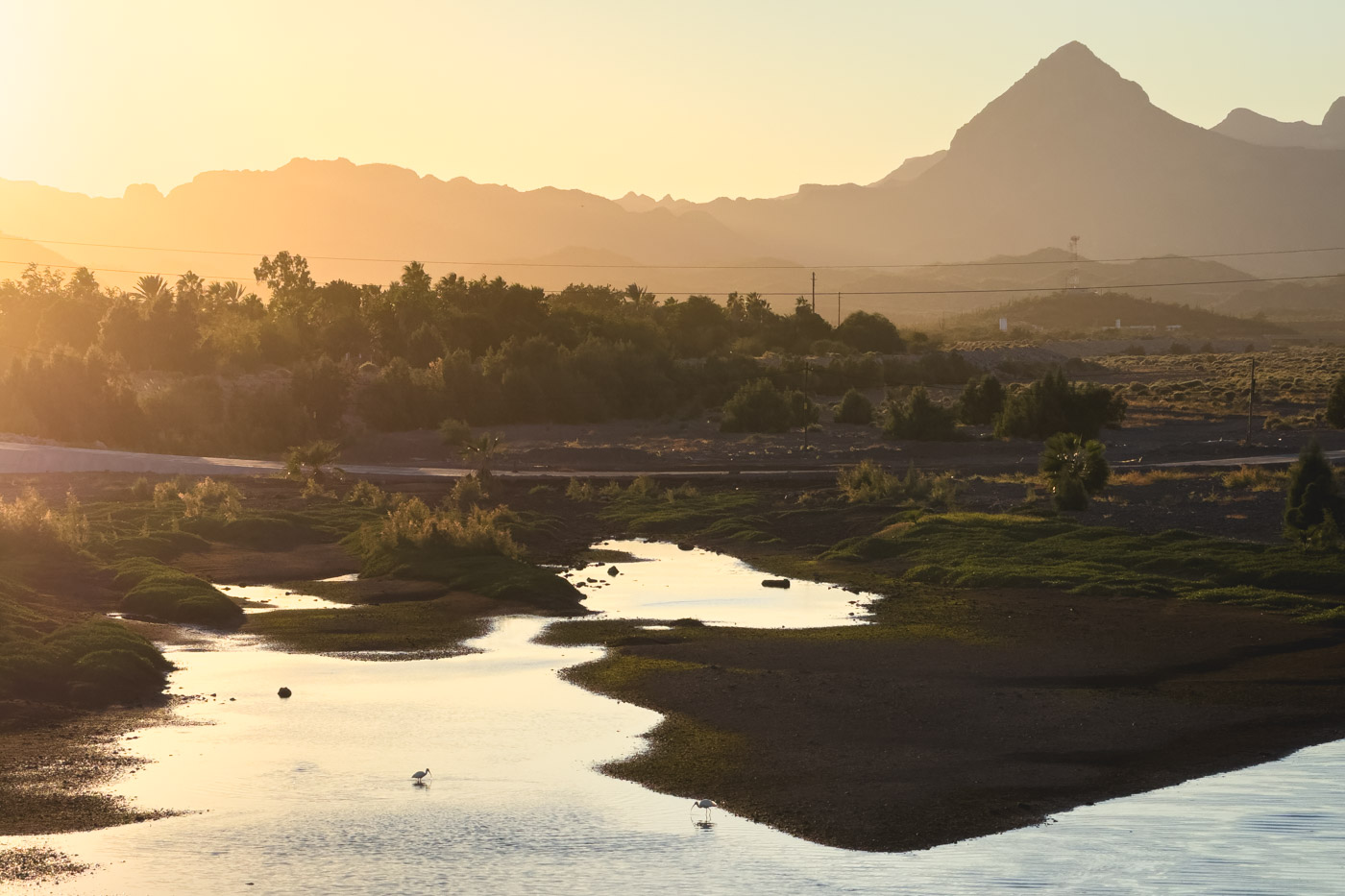 Sunset light over La Garzas Estuary while birds forage for food.