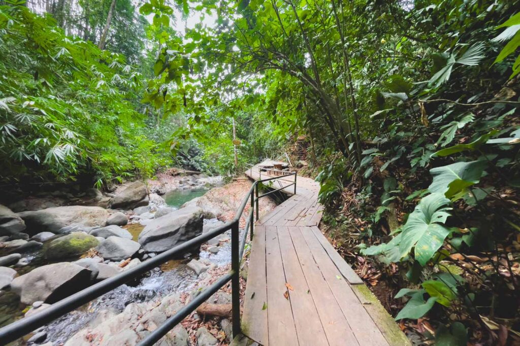 A boardwalk running alongside a river in a forest.