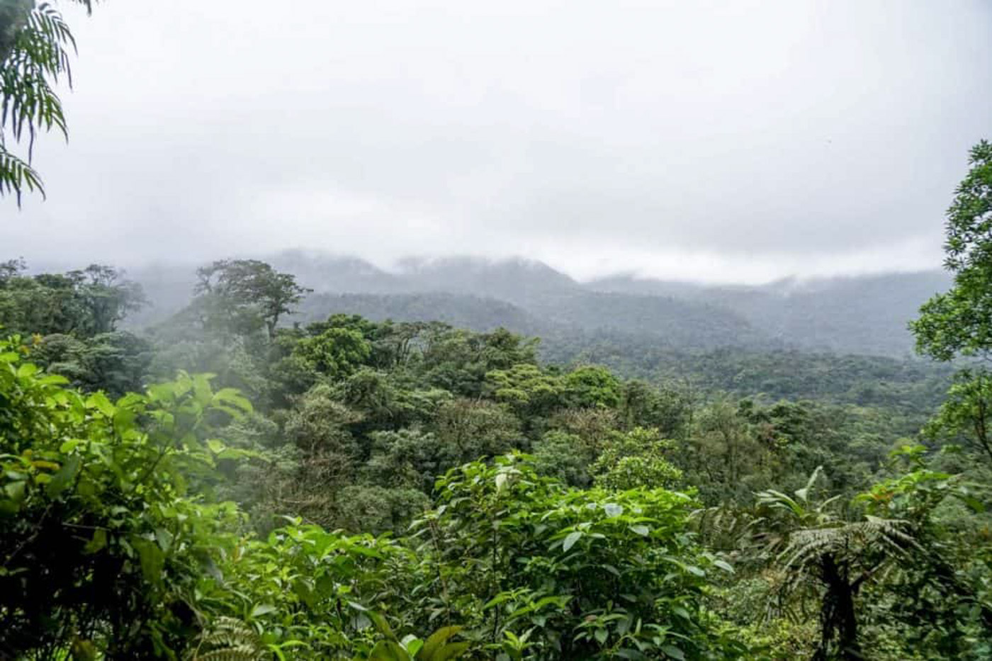View across a Costa Rican rainforest from the Rio Celeste trail