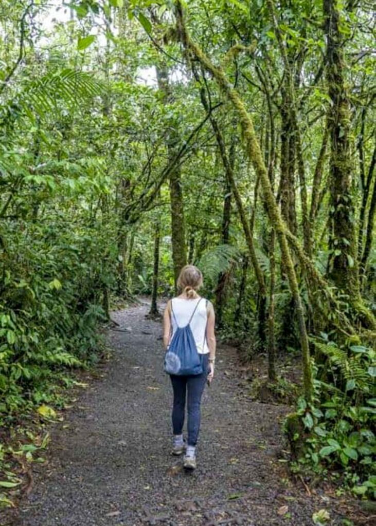 Walking along a trail in the Costa Rican jungle.