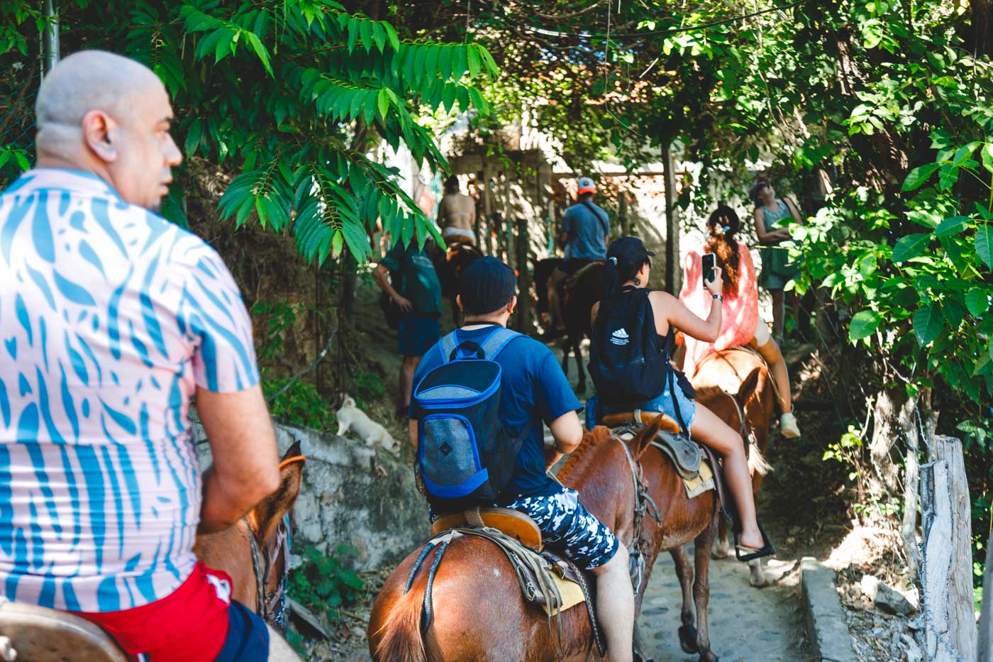 A group of tourists horse back riding down a road in Yelapa.