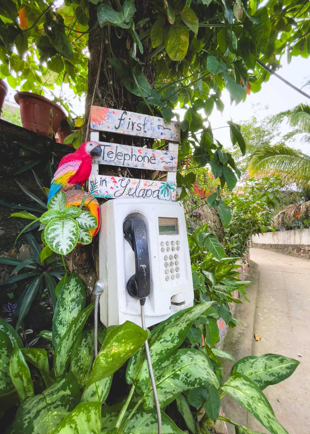 An antique looking payphone with a sign saying that it's the "first telephone in Yelapa"... and a parrot.
