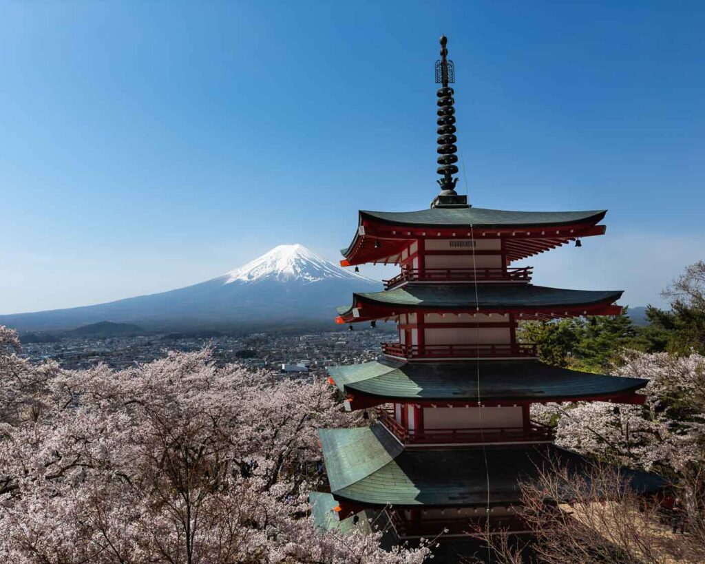Chureito Pagoda with cherry blossoms with Mount Fuji in the back.
