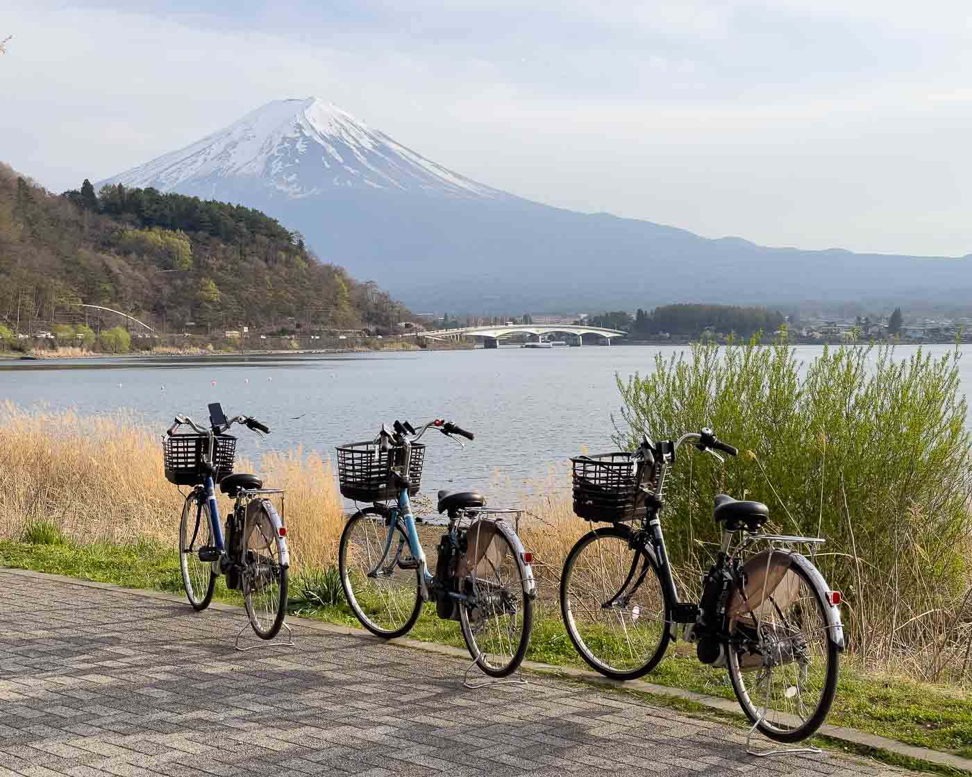 Kawaguchi Lake Mount Fuji