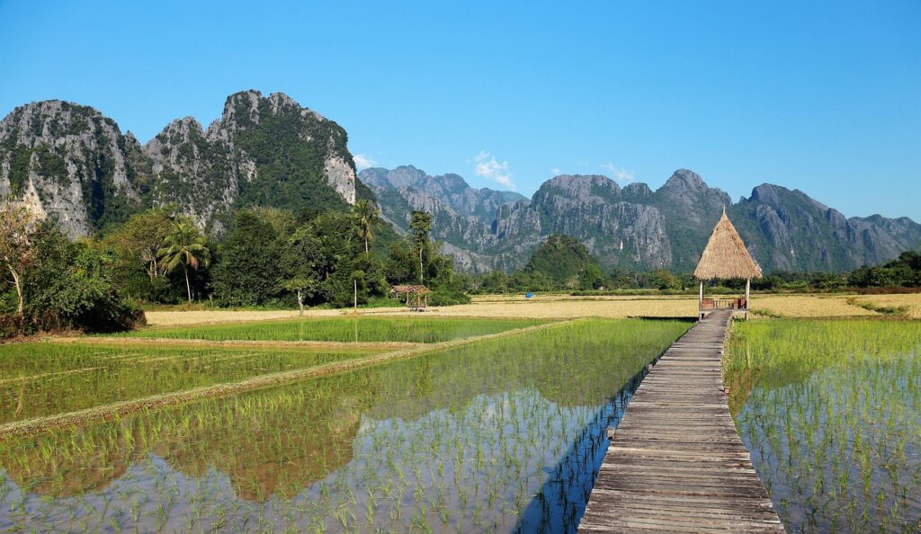 laos, vang vieng, popular hotels, vieng tara villa, the scenery, in rice field, laos, vang vieng, vang vieng, vang vieng, vang vieng, vang vieng