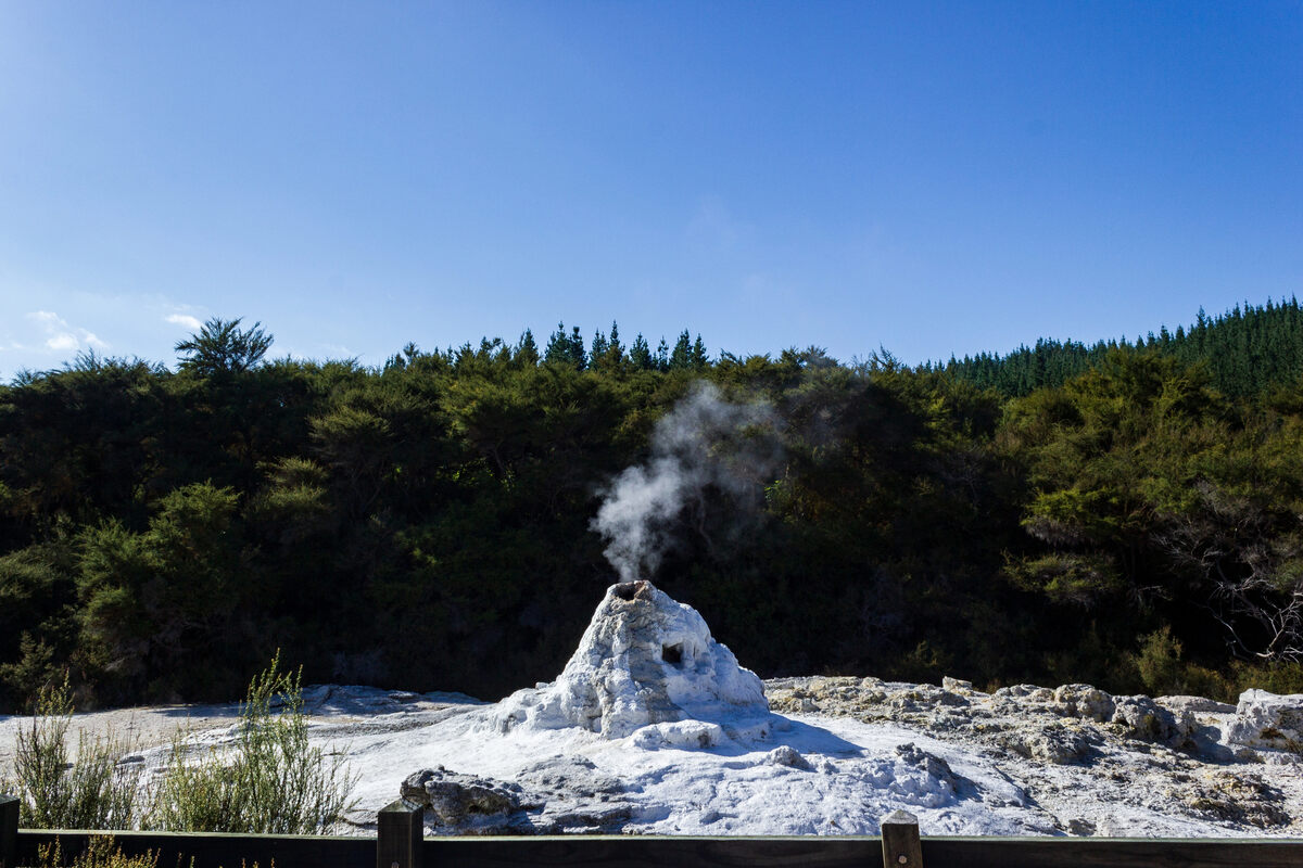 Lady Knox Geyser, Wai-O-Tapu.