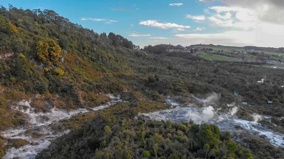 rotorua new zealand te puia aerial of fprest with thermal steam.