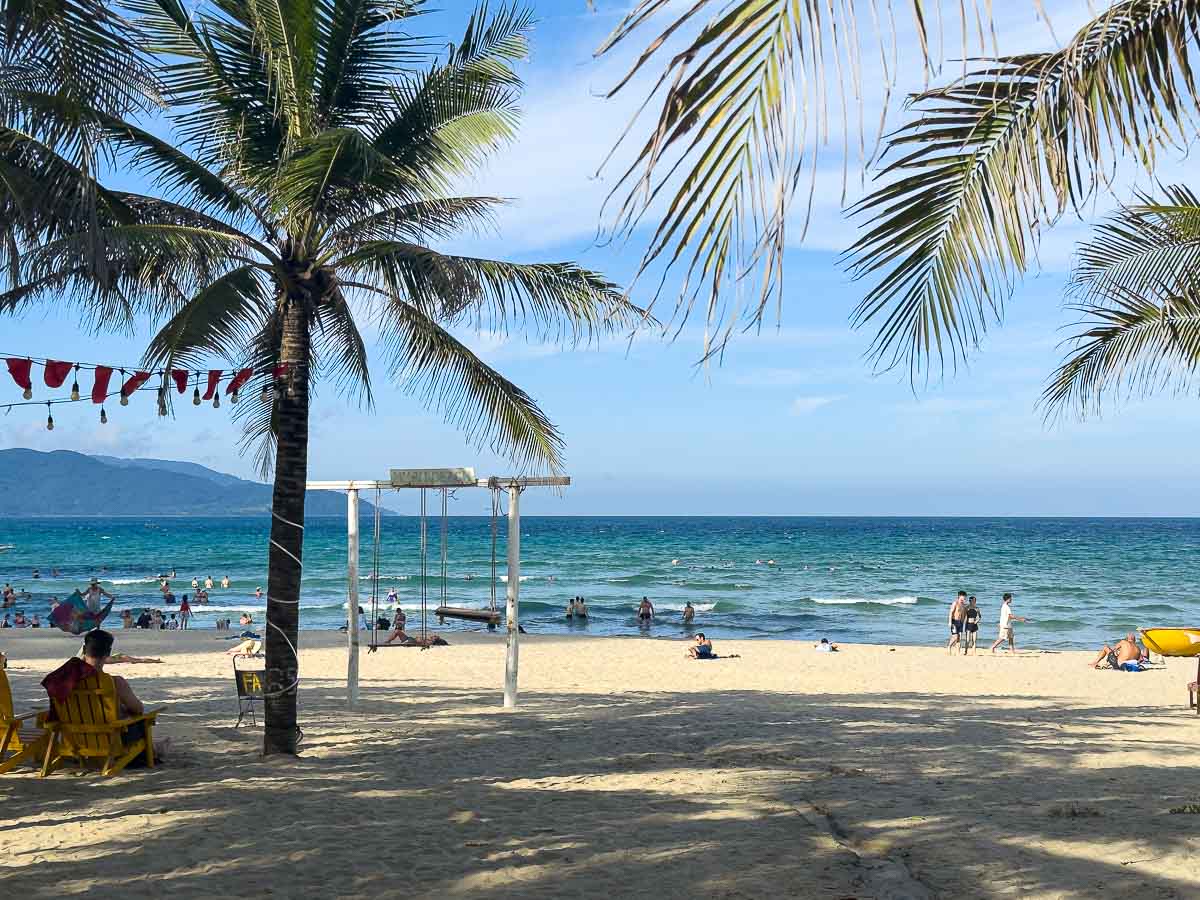 palm trees and chairs on beach.