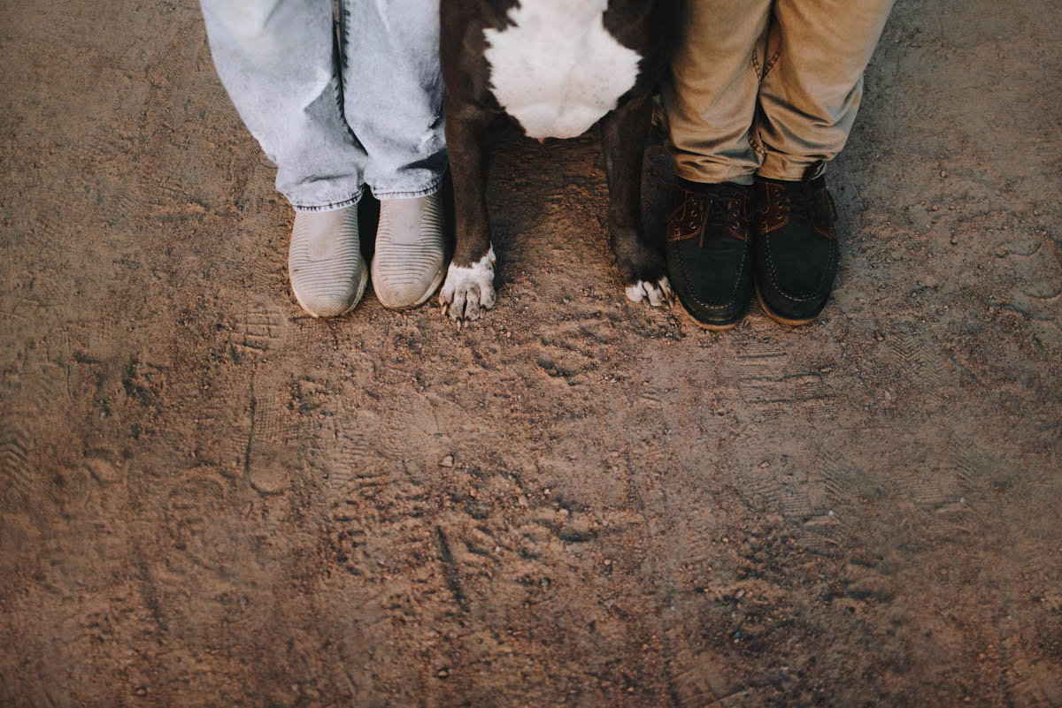 top view of dog paws and owners legs