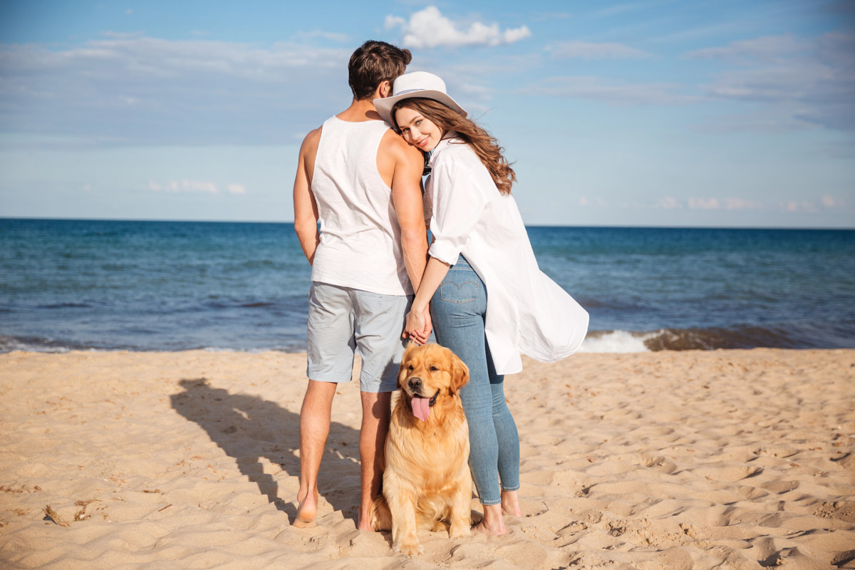 Hawaii charges $185 or $1,080 to fly your dog in — the only difference is a blood test done months ahead