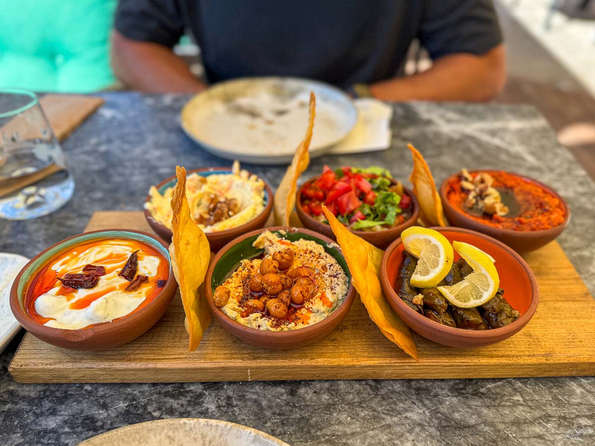 mix platter of Turkish food.