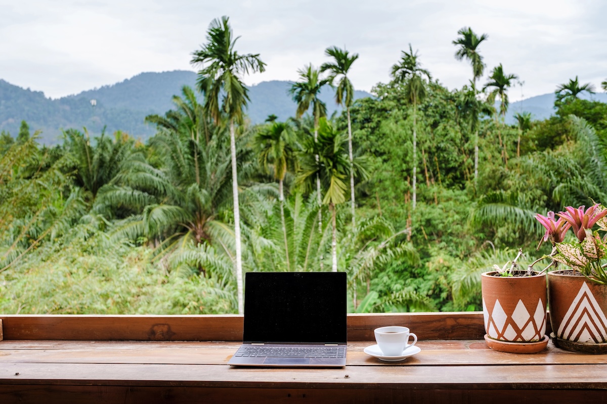 Digital nomad in Bali laptop with jungle background.