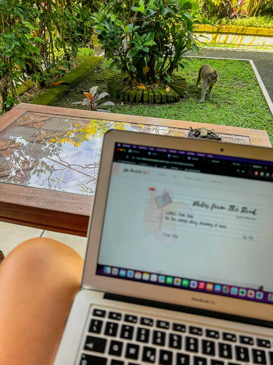 Working with monkeys