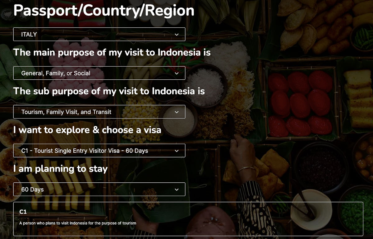 Screenshot of visa application.