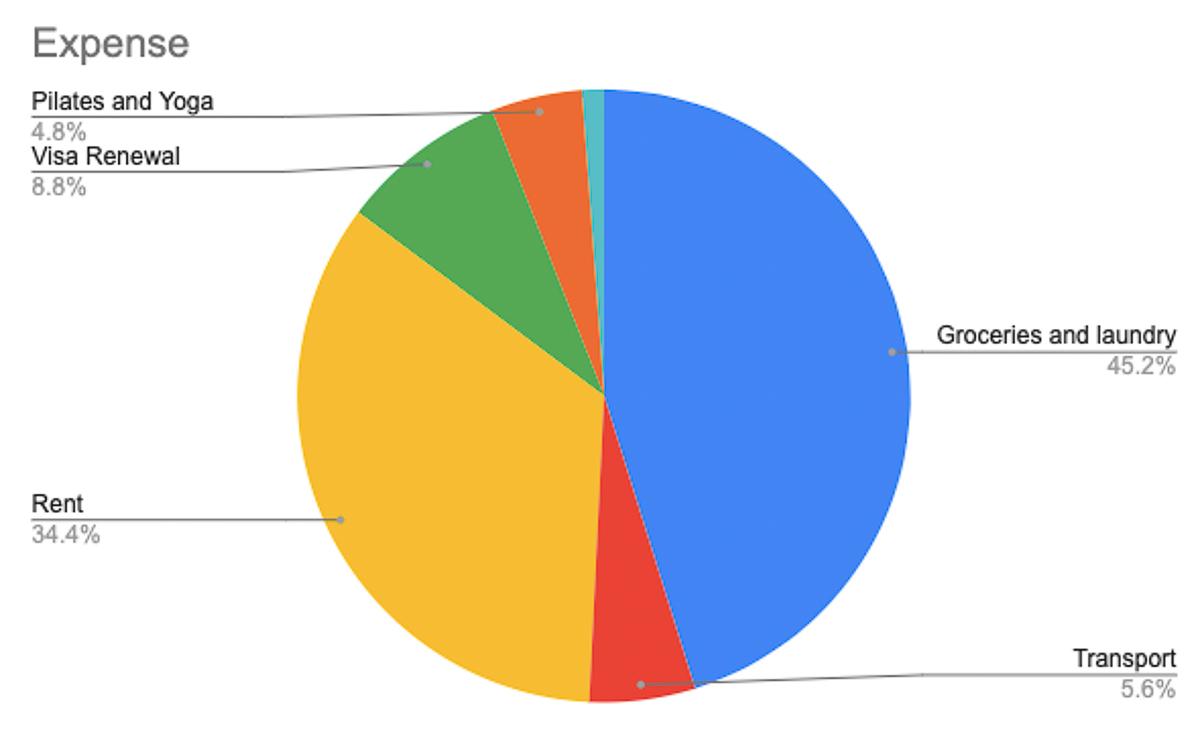 Monthly expenses pie chart.