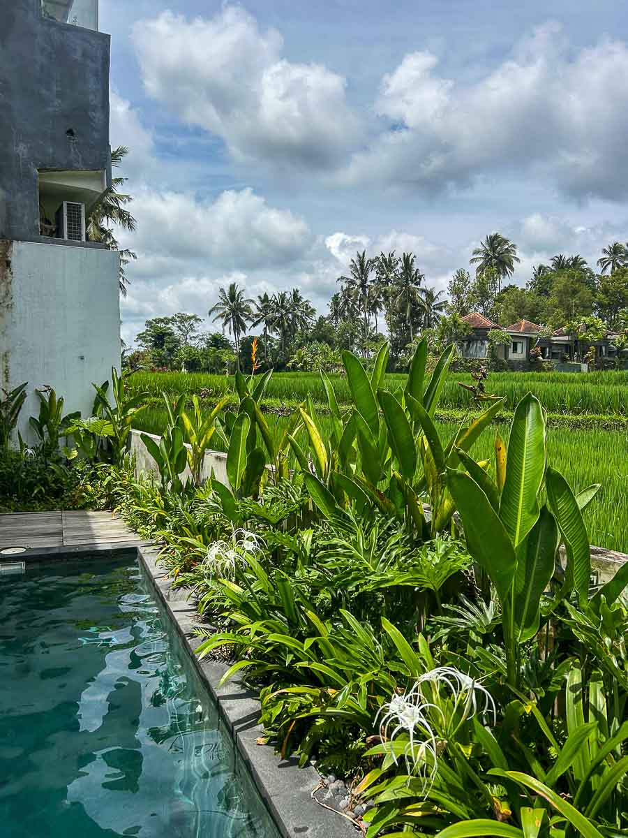 villa with rice field views