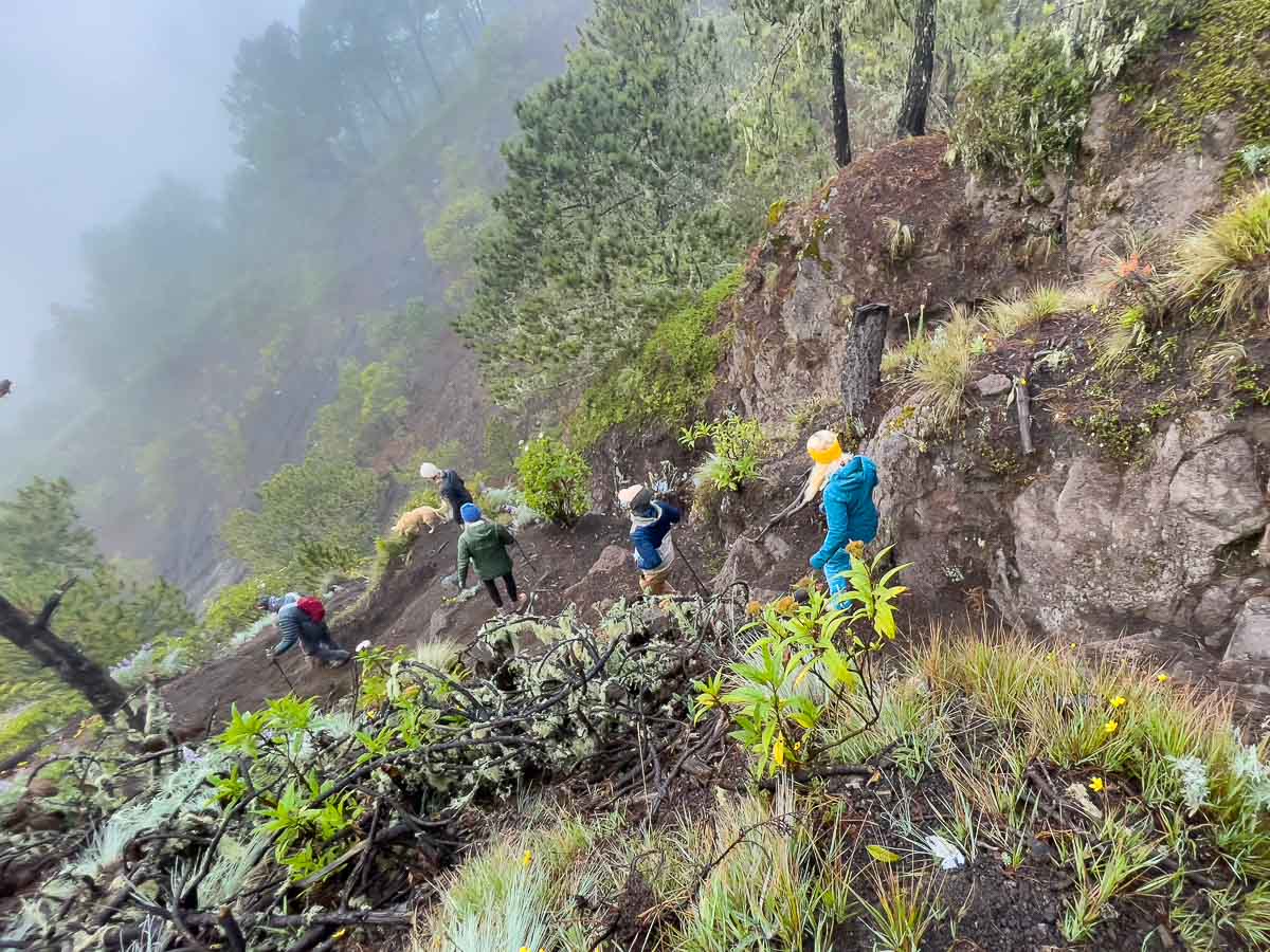 Hiking down in the forest.