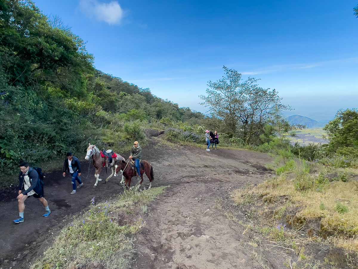 horse and hikers on the Pacaya Volcano trail.