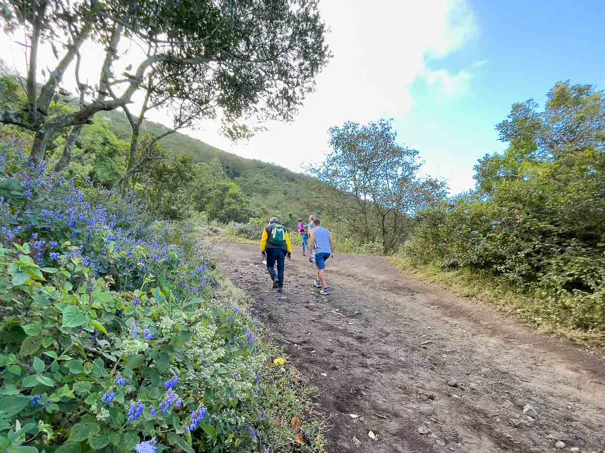 Hikers on the Pacaya Volcano hike.