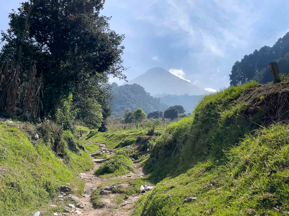 Start of the hike looking up.