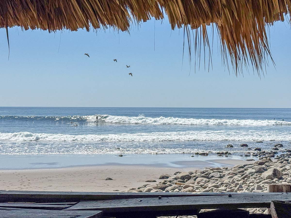 El Zonte El Salvador surfer and birds