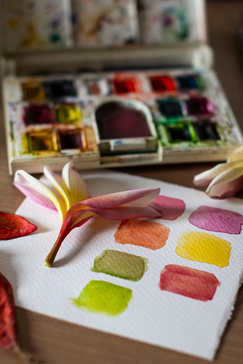 pink and white flower petals on white table