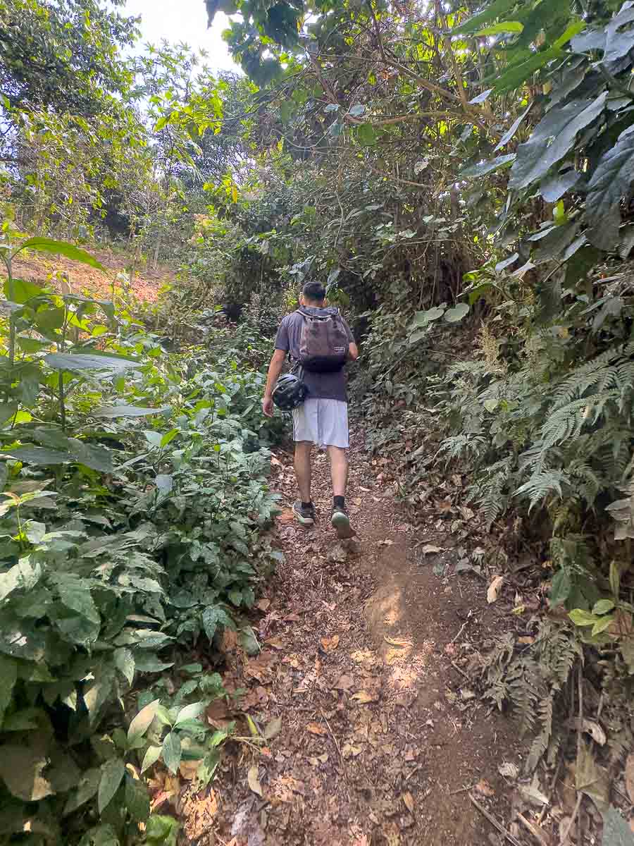 7 waterfalls hiking guide on the trail.