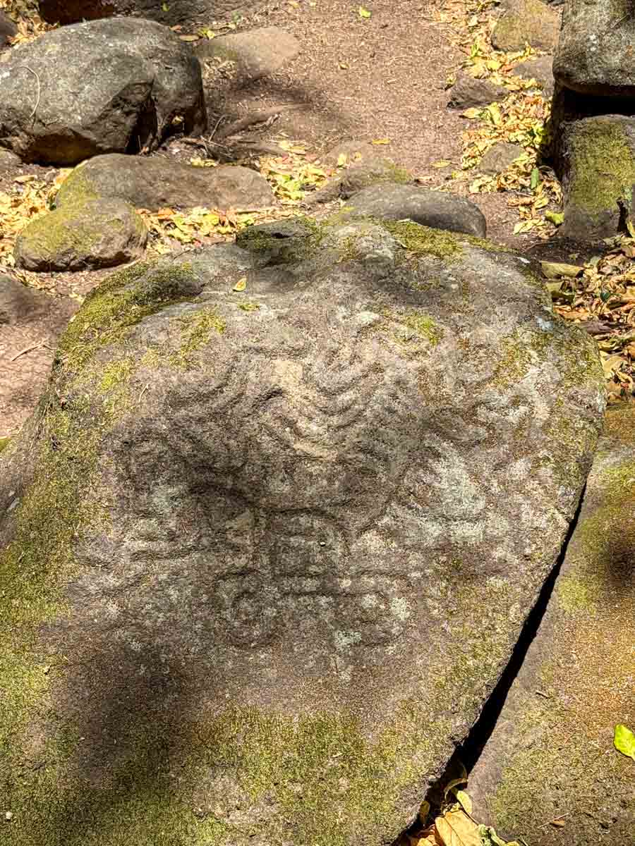 Trail to the petroglyphs at Finca Magdalena, Ometepe