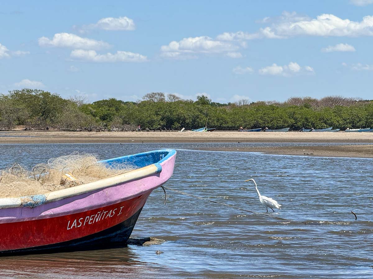 Fishing boat and white egret near Isla Juan Venado, Las Peñitas