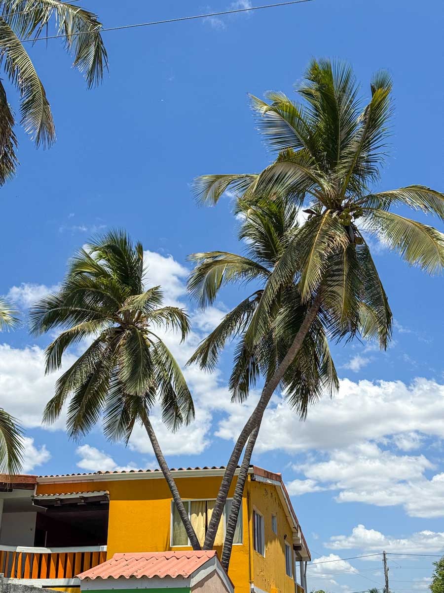 Yellow beach house and palm trees in Las Peñitas, Nicaragua