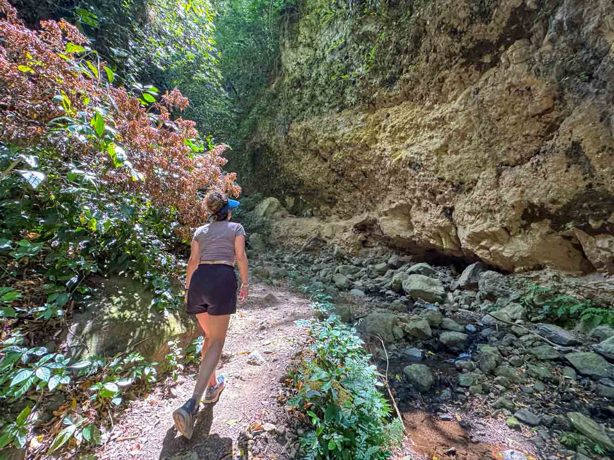 Shaded hiking trail to Cascada de San Ramón on Maderas Volcano