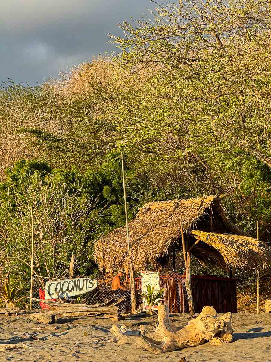 Beach hut with a coconut sign along the coast in Popoyo, Nicaragua