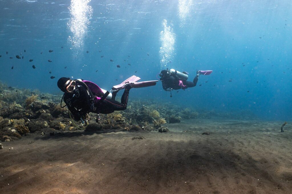 a person in a wet suit diving in the ocean